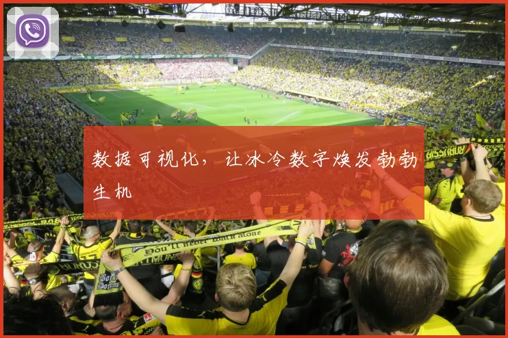 数据可视化,让冰冷数字焕发勃勃生机