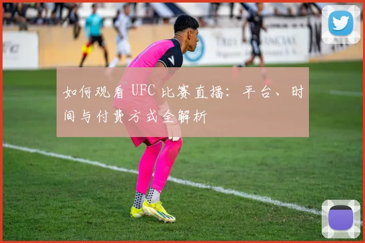 如何观看 UFC 比赛直播:平台、时间与付费方式全解析