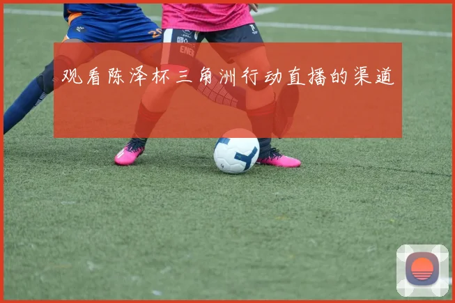 观看陈泽杯三角洲行动直播的渠道