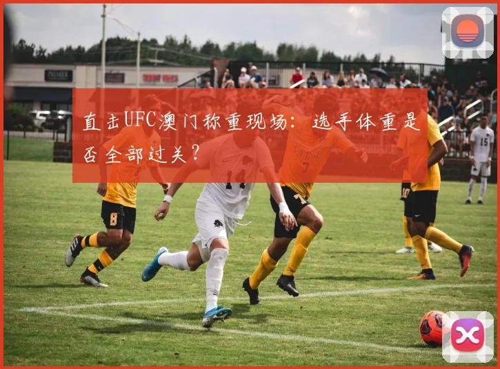 直击UFC澳门称重现场：选手体重是否全部过关？