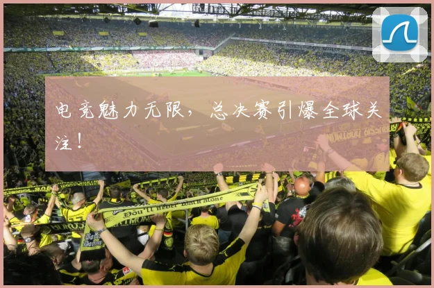 电竞魅力无限,总决赛引爆全球关注!