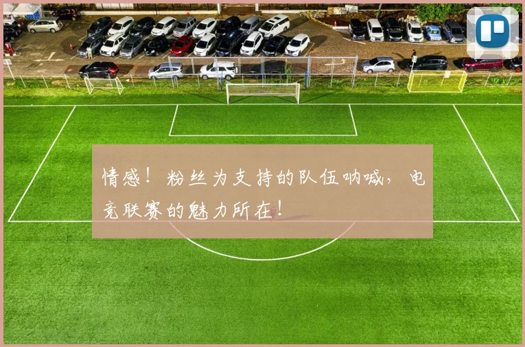 情感!粉丝为支持的队伍呐喊,电竞联赛的魅力所在!